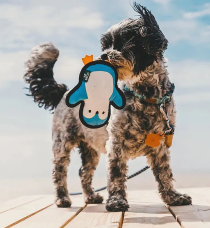 Beco Rough & Tough Penguin Dog Toy S