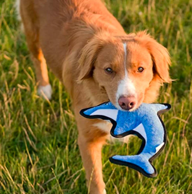 Beco Rough & Tough Toys Dolphin Dog Toy L